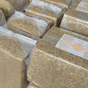 Aliment avec fibre pour chevaux